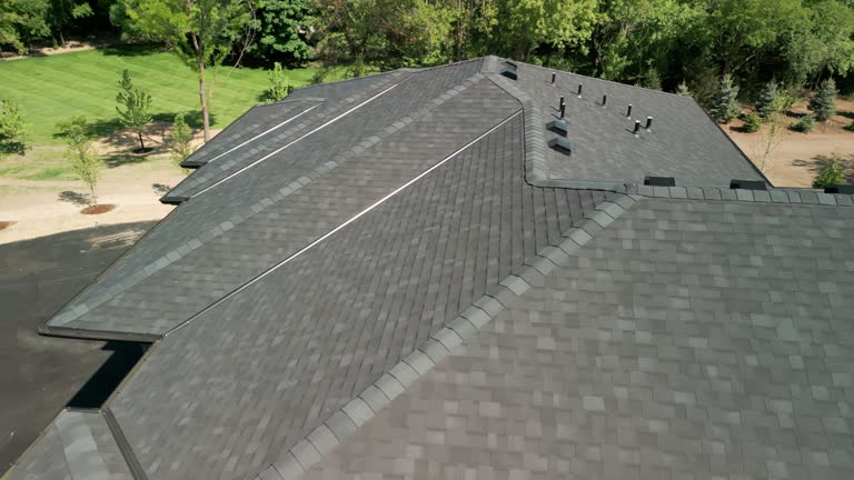 Best Roof Coating and Sealing  in Brambleton, VA